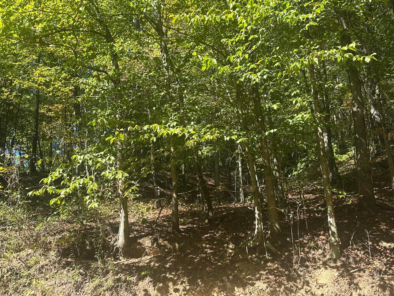 1930 Chestnut Valley Road Vonore, TN 37885 - Photo 54 of 62 54