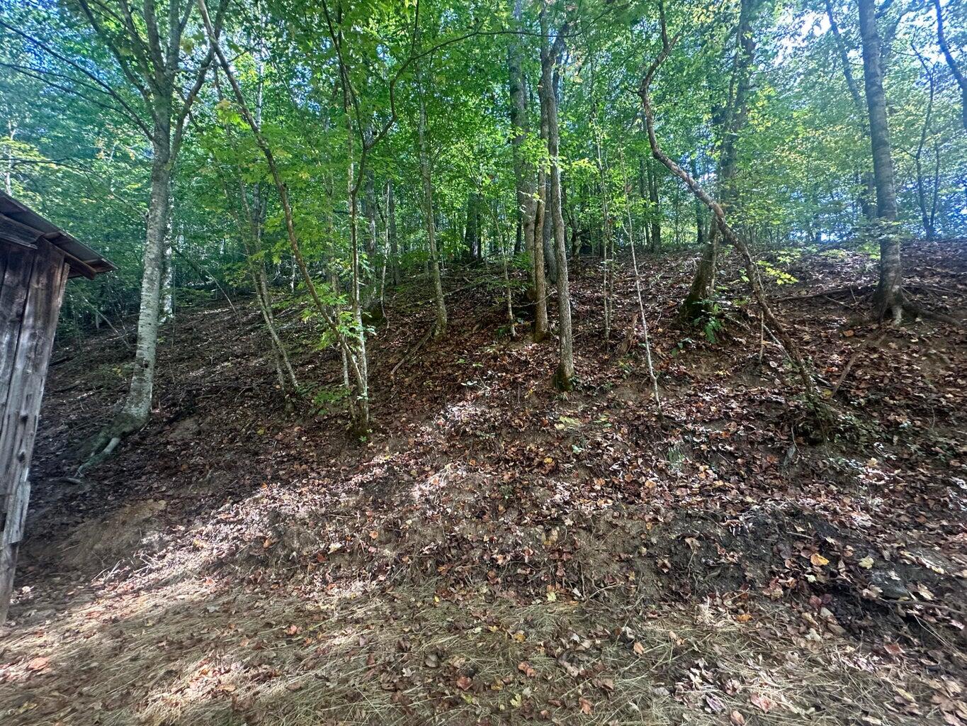 1930 Chestnut Valley Road Vonore, TN 37885 - Photo 61 of 62 61