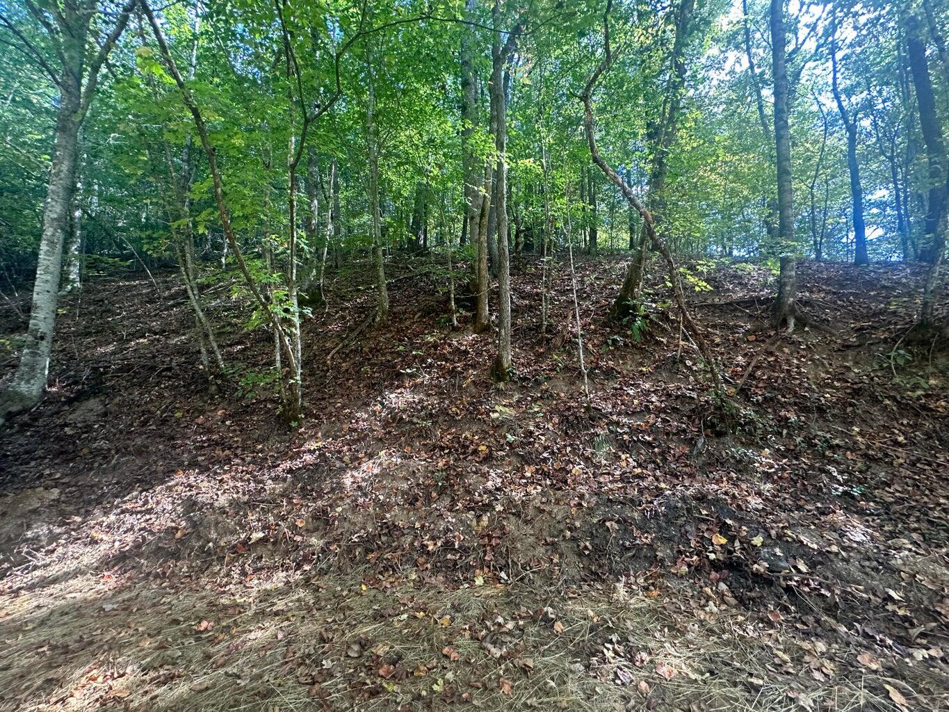 1930 Chestnut Valley Road Vonore, TN 37885 - Photo 62 of 62 62