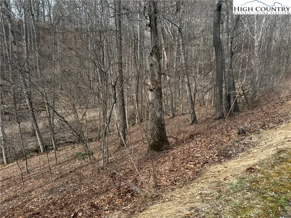 $25,000 | 45 Happy Ridge Road, Grassy Creek, NC 28631