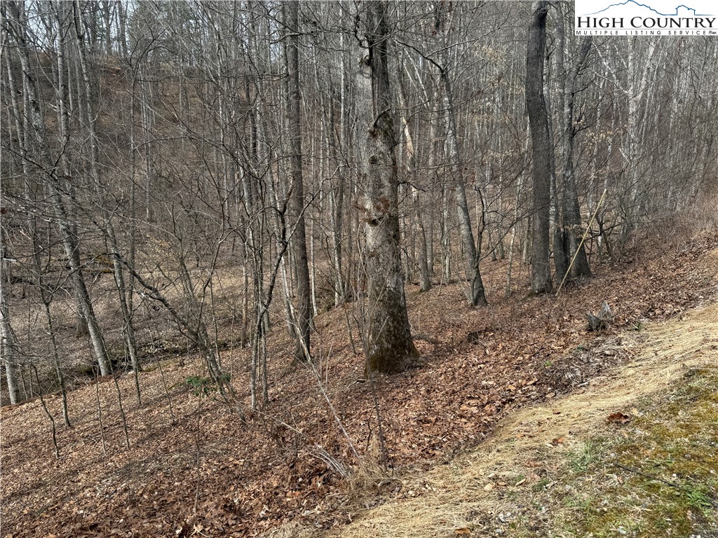 45 Happy Ridge Road Grassy Creek, NC 28631 - Photo 2 of 10