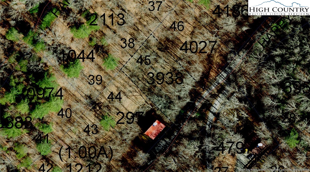 45 Happy Ridge Road Grassy Creek, NC 28631 - Photo 4 of 10