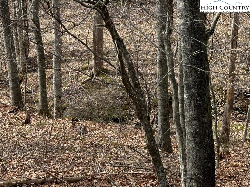 45 Happy Ridge Road Grassy Creek, NC 28631 - Photo 5 of 10