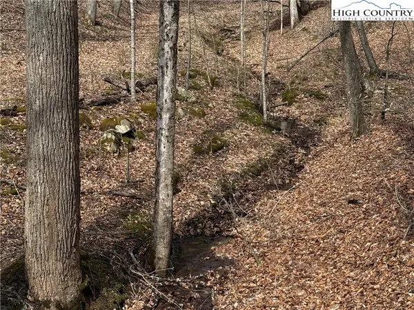 $25,000 | 45 Happy Ridge Road, Grassy Creek, NC 28631