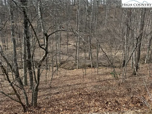 $25,000 | 45 Happy Ridge Road, Grassy Creek, NC 28631