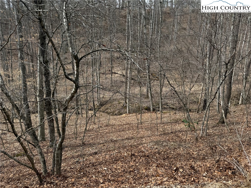 45 Happy Ridge Road Grassy Creek, NC 28631 - Photo 9 of 10