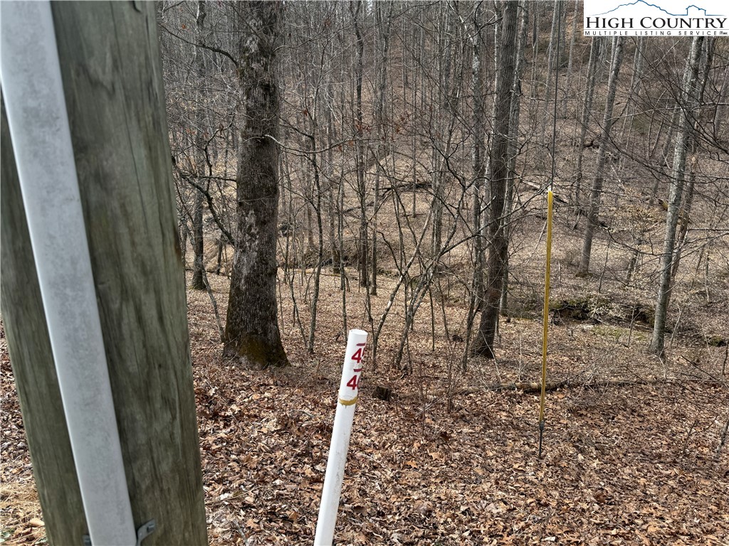 45 Happy Ridge Road Grassy Creek, NC 28631 - Photo 10 of 10