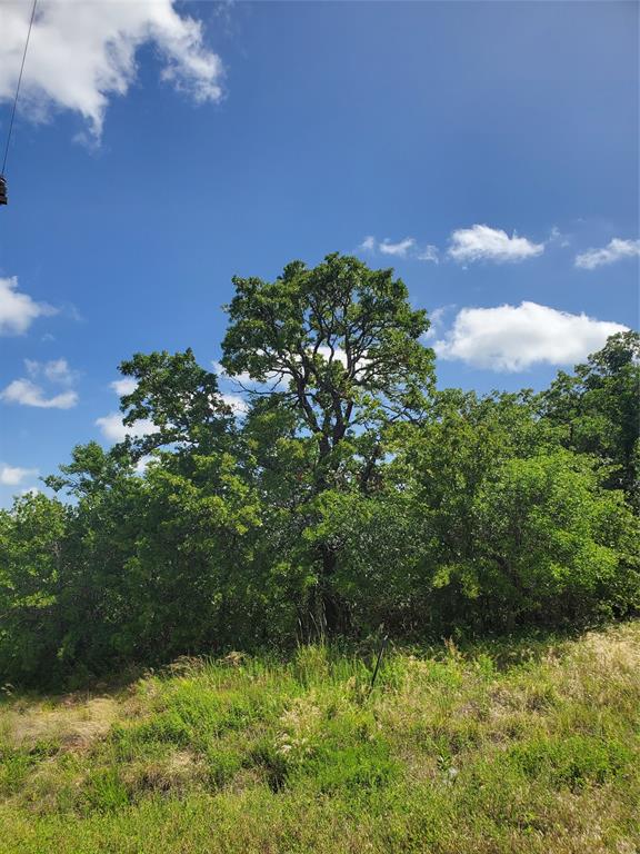 Lot 649 Horizon Ridge Sunset, TX 76270 - Photo 2 of 29 a backyard of a house with lots of green space and mountain view in back