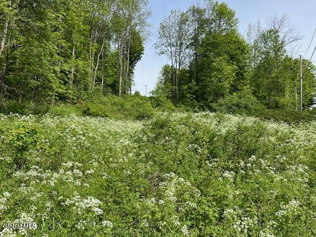 L9 Harrington Road Gilboa, NY 12076 - Photo 5 of 27 IMG_5403