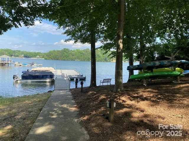 a view of a lake with palm trees