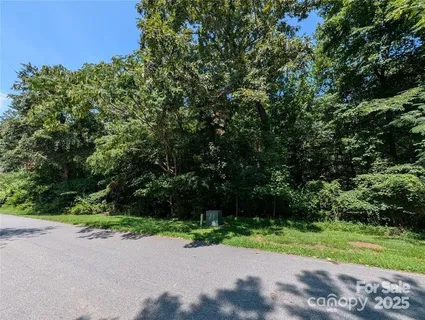 a view of a street with a yard and a large trees