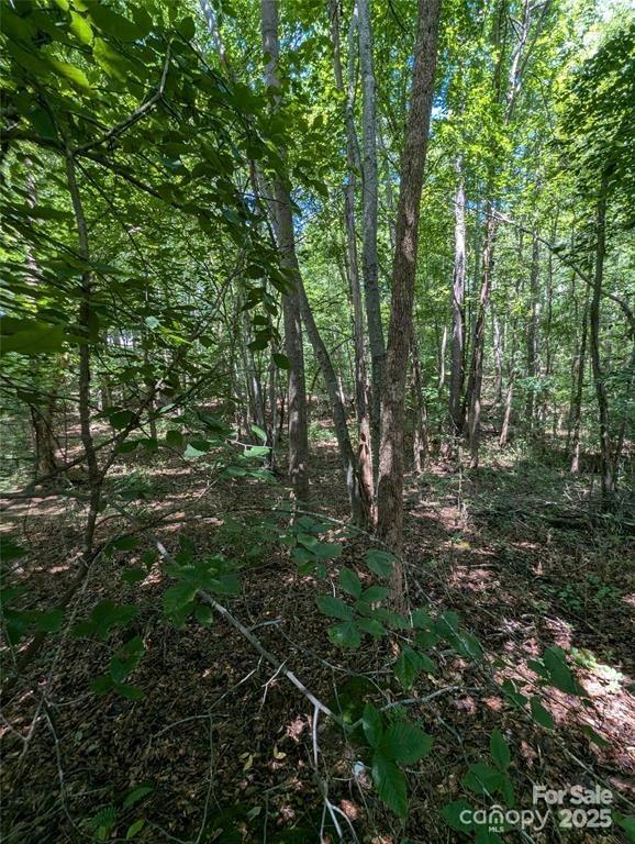 8452 Marina Lane Catawba, NC 28609 - Photo 7 of 7 a view of forest