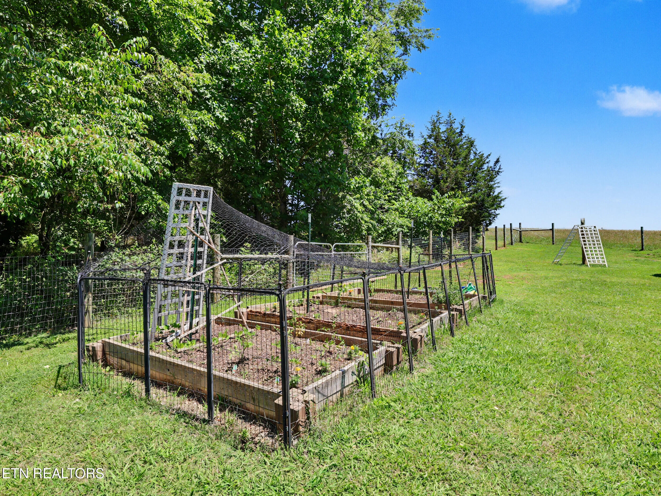 848 Lakeshore Road Talbott, TN 37877 - Photo 43 of 51 Plant gardens!