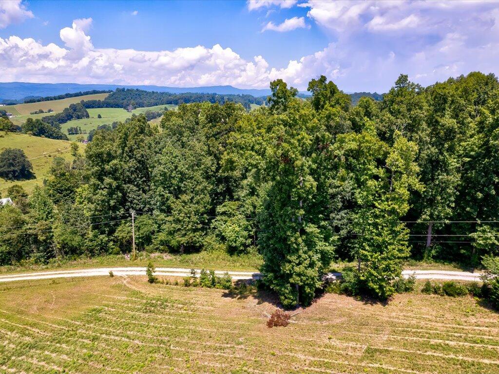 0 Chinquipin Road Sneedville, TN 37869 - Photo 13 of 32 Chinquipin Rd - 13