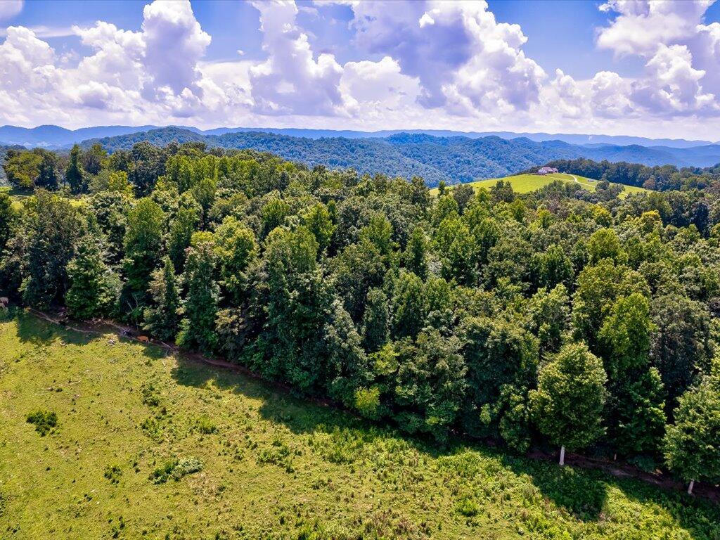 0 Chinquipin Road Sneedville, TN 37869 - Photo 14 of 32 Chinquipin Rd - 14