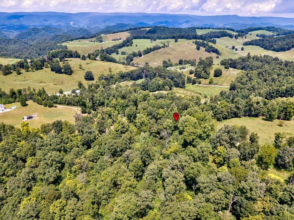 0 Chinquipin Road Sneedville, TN 37869 - Photo 15 of 32 Chinquipin Rd - 15