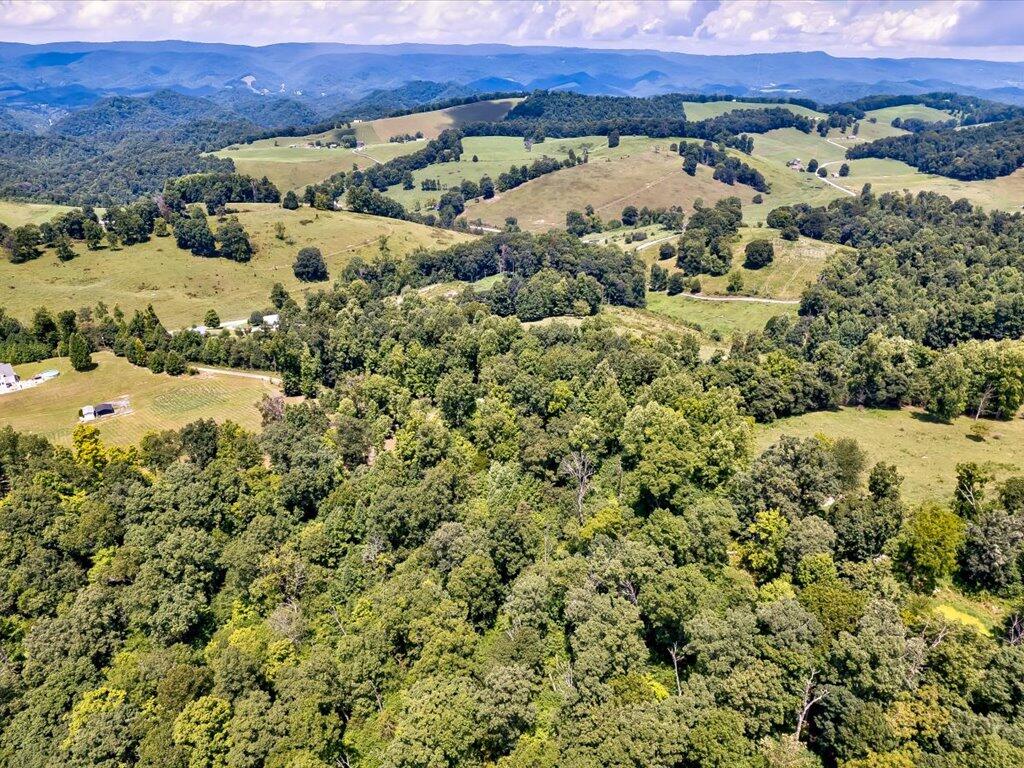0 Chinquipin Road Sneedville, TN 37869 - Photo 22 of 32 Chinquipin Rd - 22