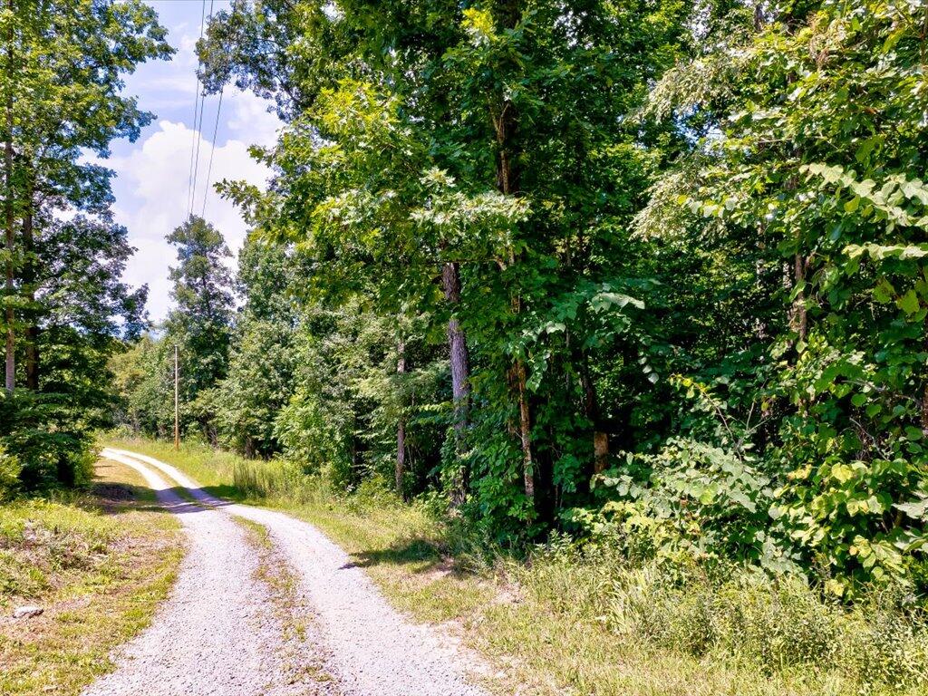 0 Chinquipin Road Sneedville, TN 37869 - Photo 7 of 32 Chinquipin Rd - 7