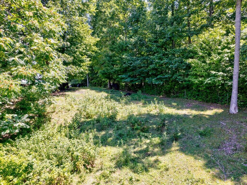 0 Chinquipin Road Sneedville, TN 37869 - Photo 10 of 32 Chinquipin Rd - 10