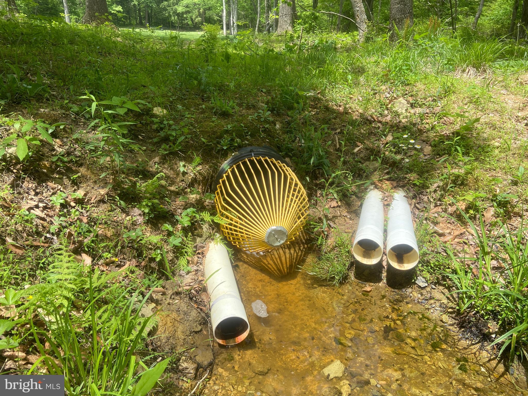 4740 Ford Fields Road Myersville, MD 21773 - Photo 105 of 147 Out flow from pond and gutters