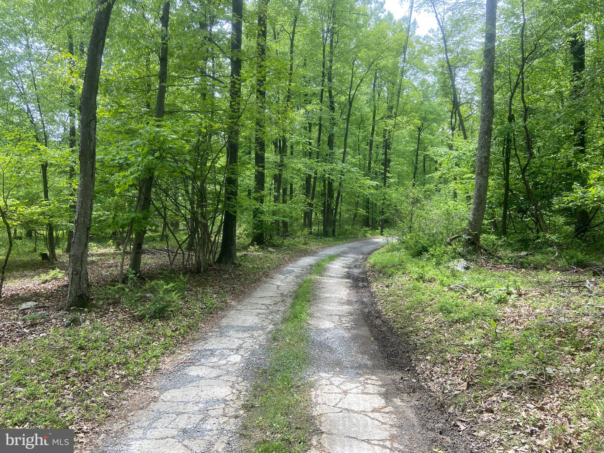 4740 Ford Fields Road Myersville, MD 21773 - Photo 107 of 147 a view of a lush green forest
