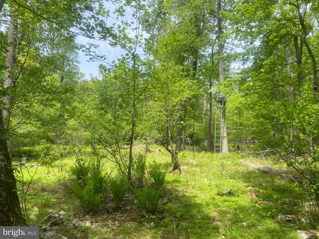 $1,250,000 | 4740 Ford Fields Road, Myersville, MD 21773