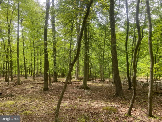 $1,250,000 | 4740 Ford Fields Road, Myersville, MD 21773