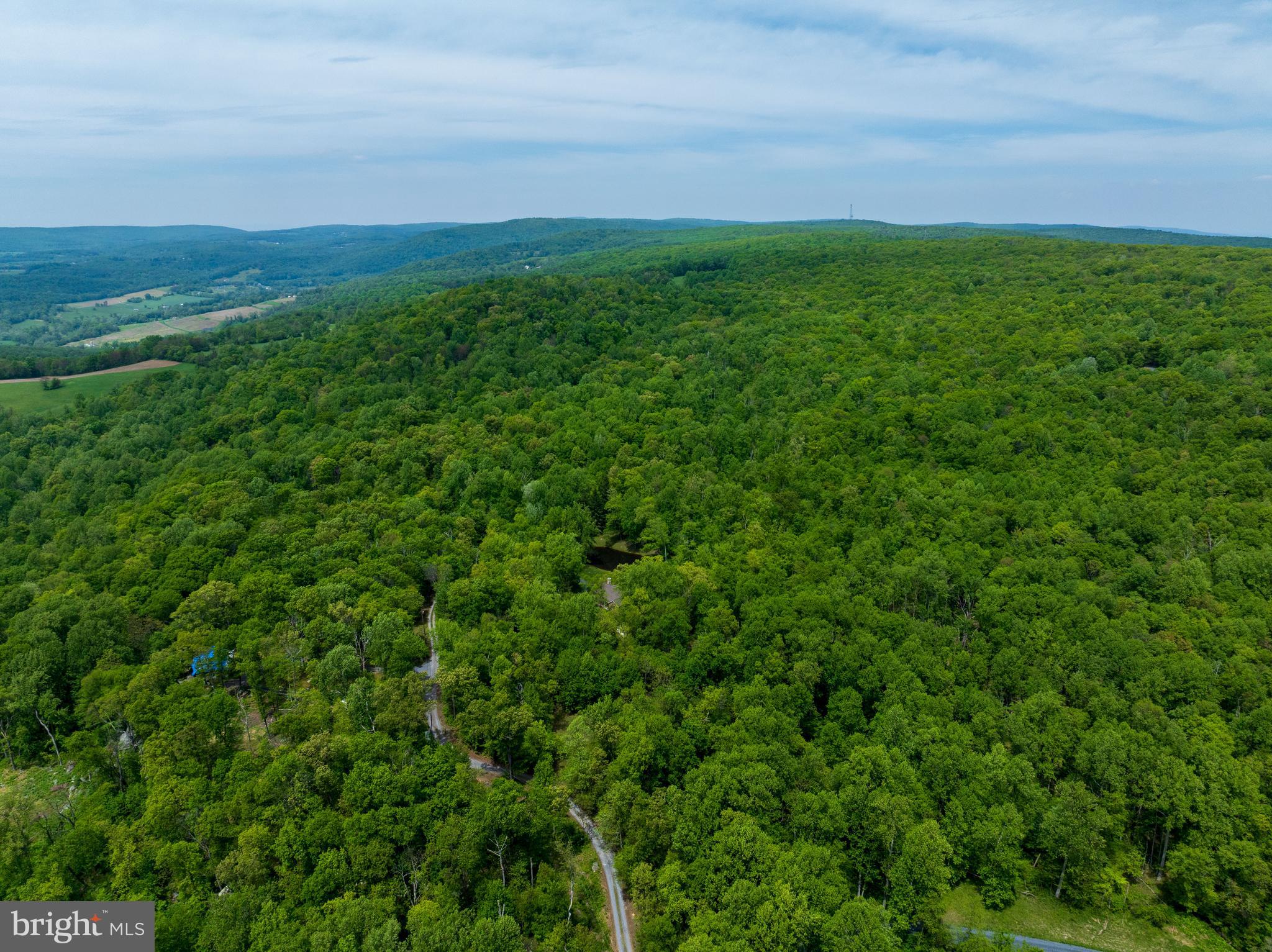 4740 Ford Fields Road Myersville, MD 21773 - Photo 11 of 147