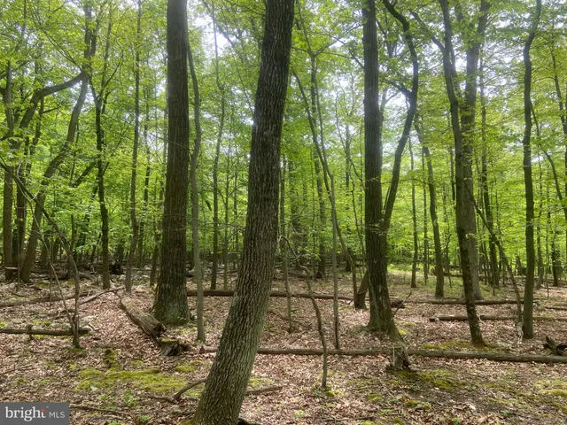 $1,250,000 | 4740 Ford Fields Road, Myersville, MD 21773