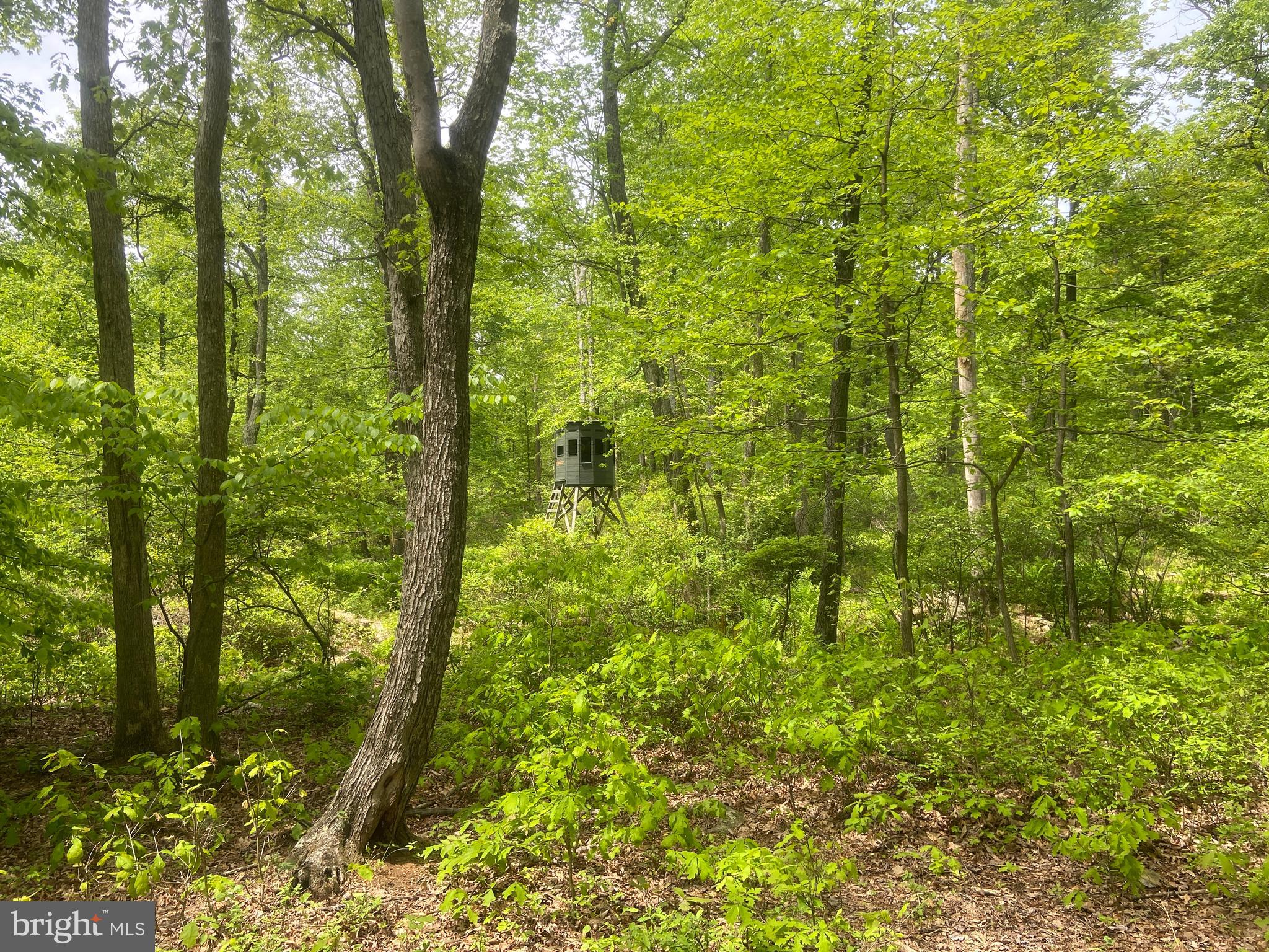 4740 Ford Fields Road Myersville, MD 21773 - Photo 113 of 147 a view of a garden