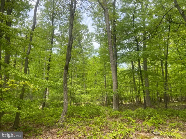 $1,250,000 | 4740 Ford Fields Road, Myersville, MD 21773