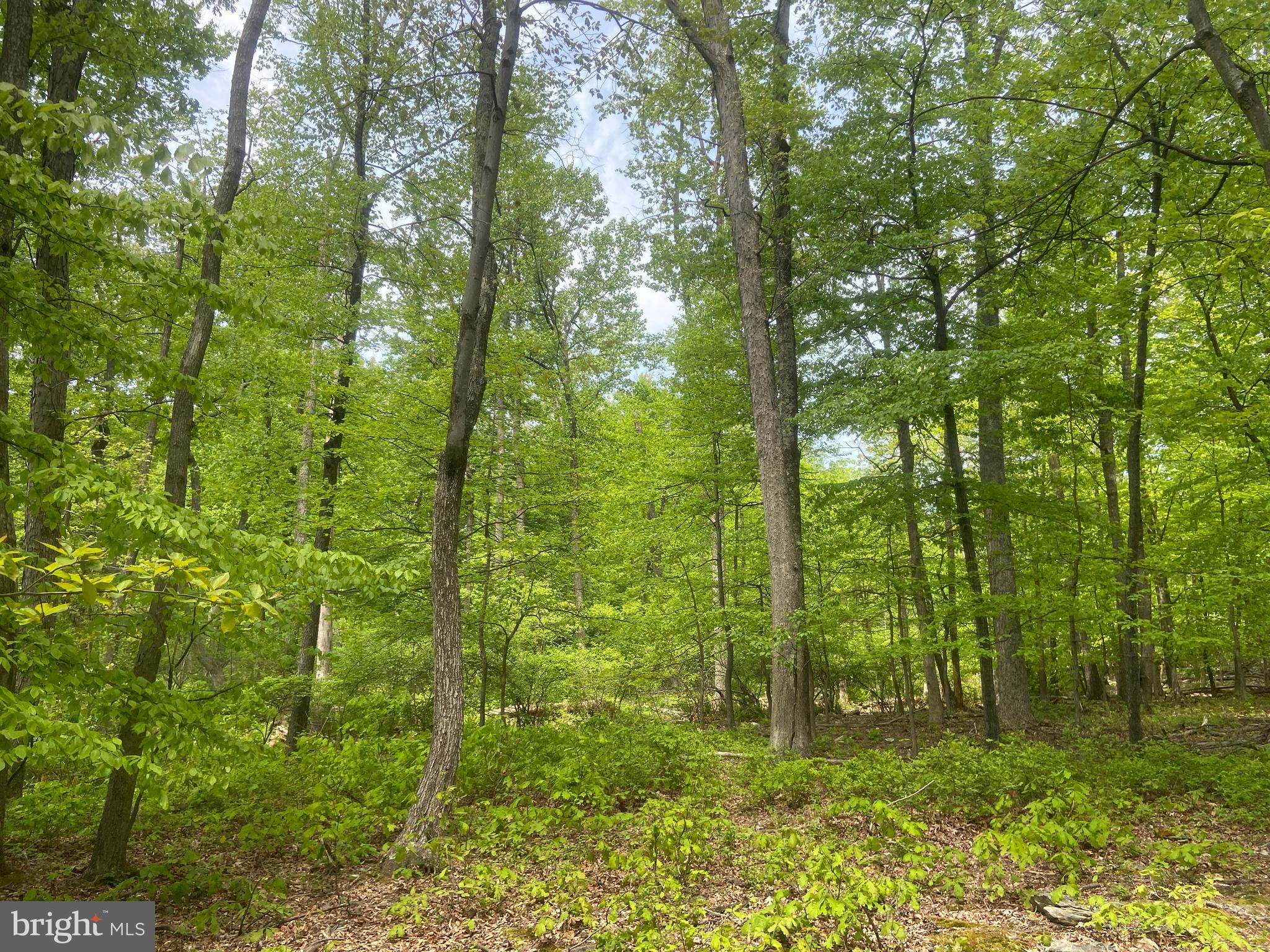 4740 Ford Fields Road Myersville, MD 21773 - Photo 114 of 147