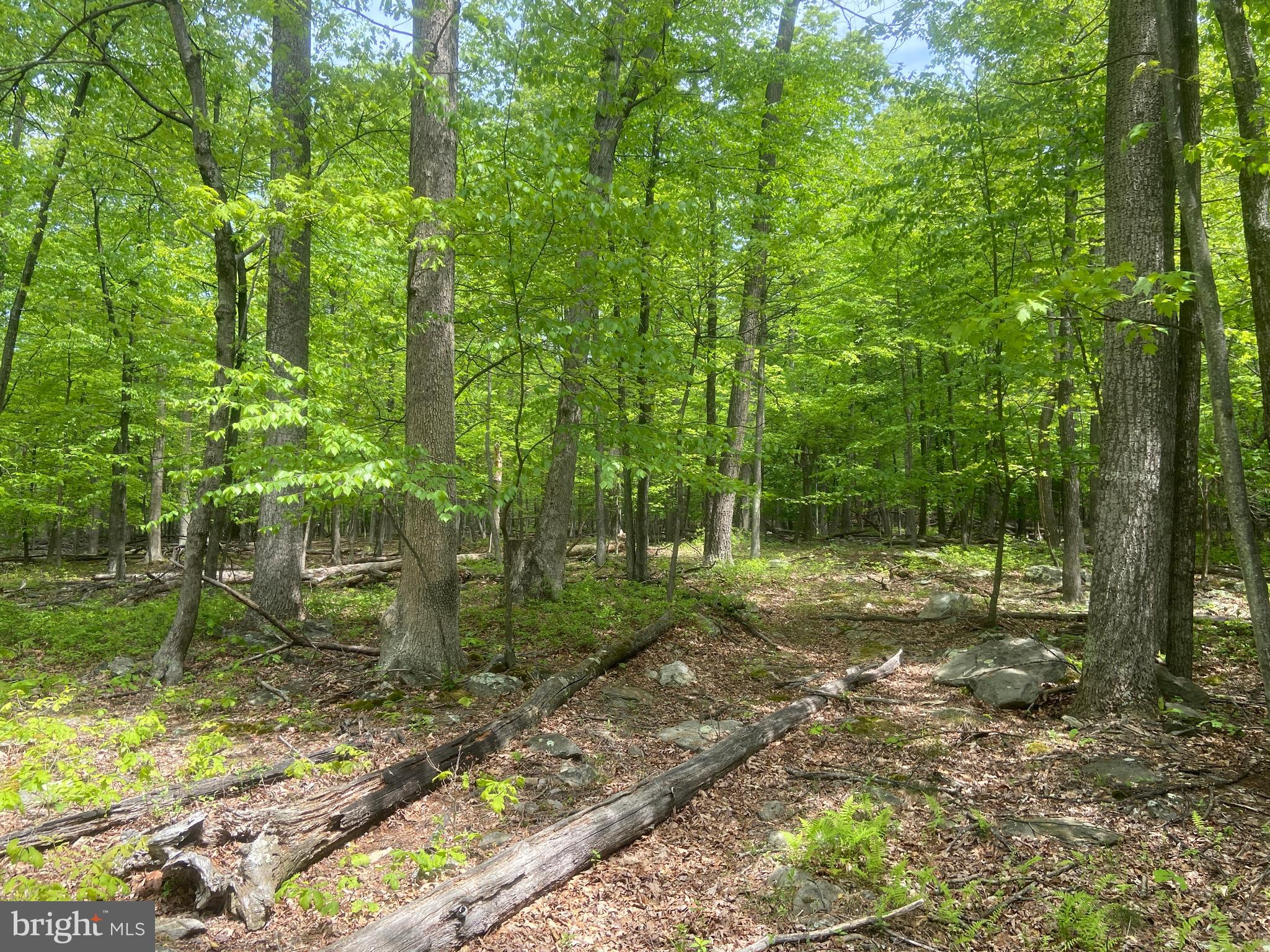 4740 Ford Fields Road Myersville, MD 21773 - Photo 115 of 147