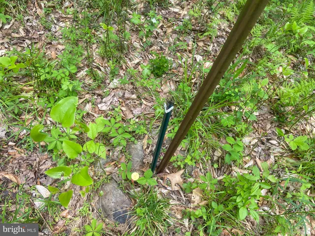 $1,250,000 | 4740 Ford Fields Road, Myersville, MD 21773