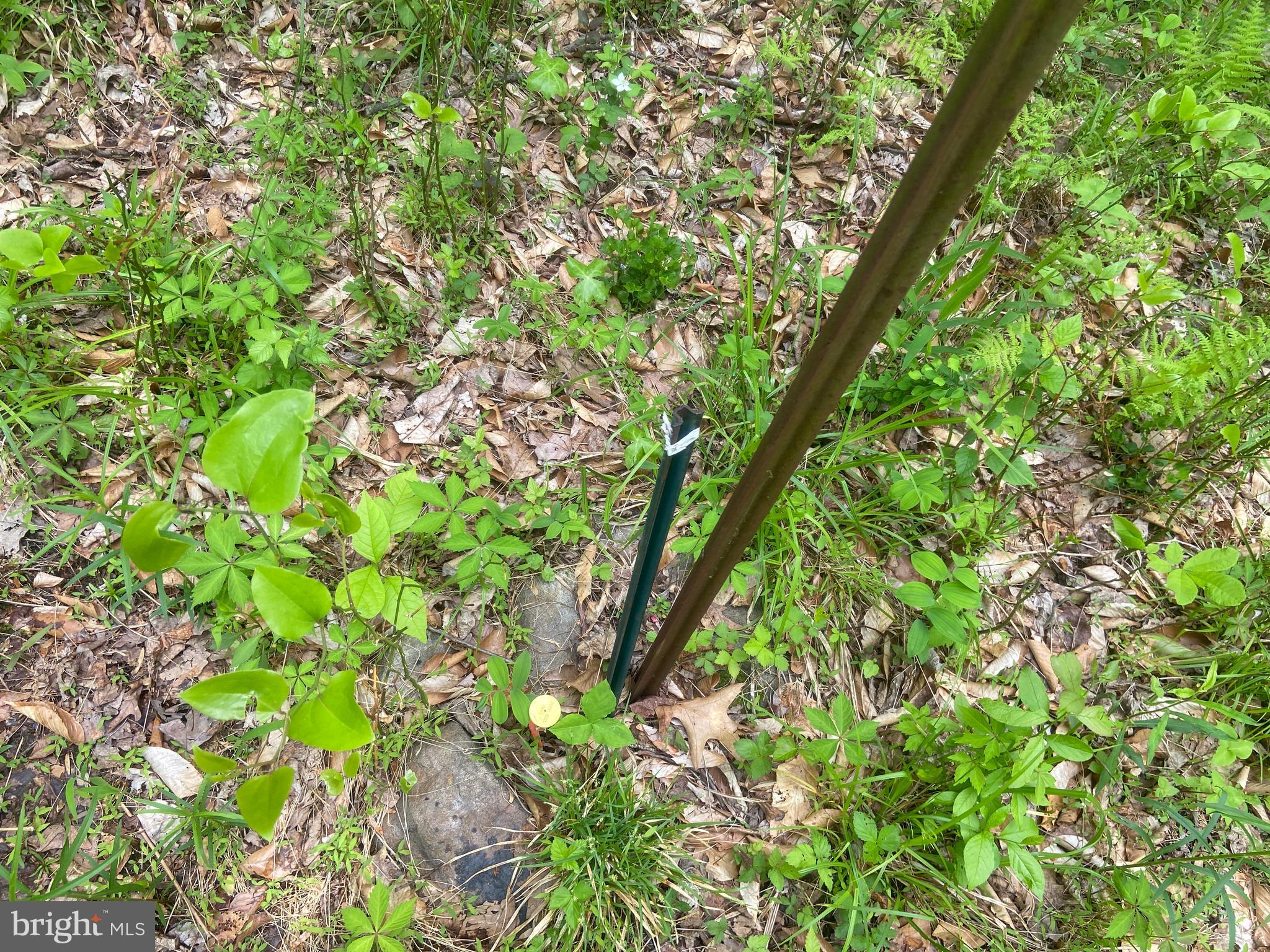 4740 Ford Fields Road Myersville, MD 21773 - Photo 123 of 147