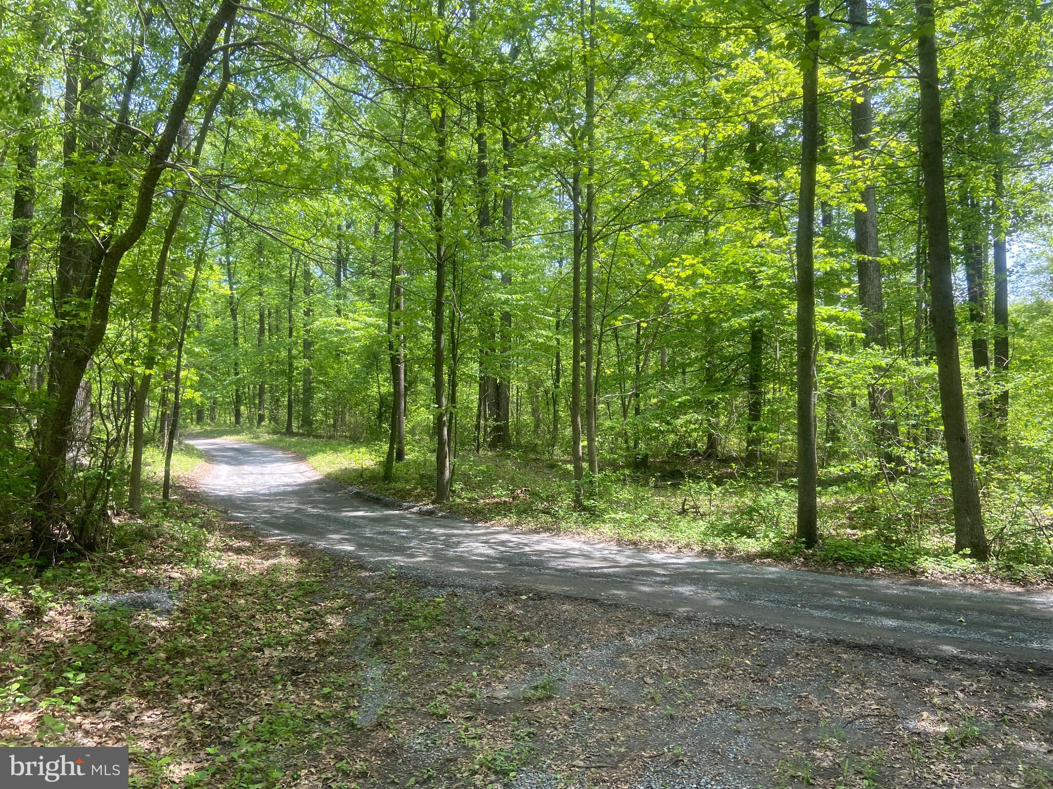 4740 Ford Fields Road Myersville, MD 21773 - Photo 126 of 147