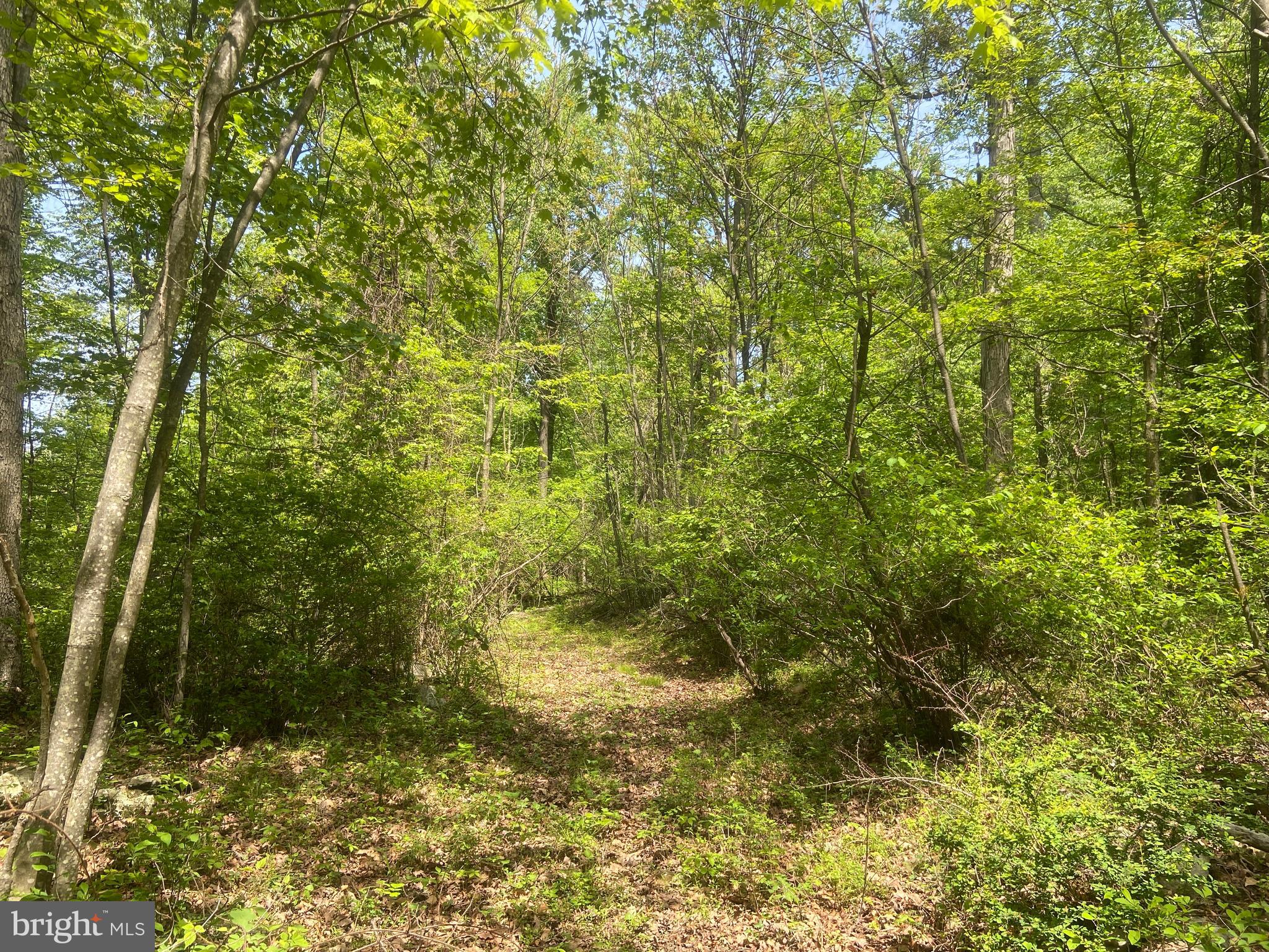 4740 Ford Fields Road Myersville, MD 21773 - Photo 127 of 147