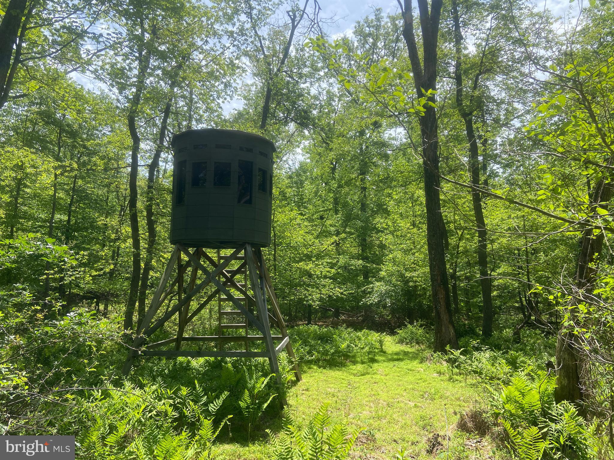 4740 Ford Fields Road Myersville, MD 21773 - Photo 128 of 147 360 Hunting Blind #1