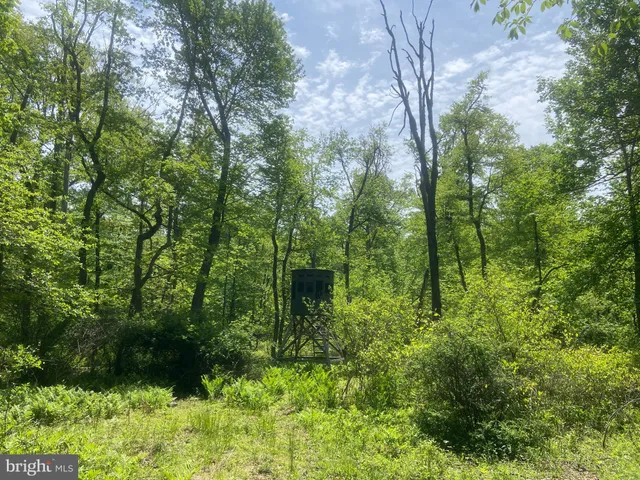 $1,250,000 | 4740 Ford Fields Road, Myersville, MD 21773