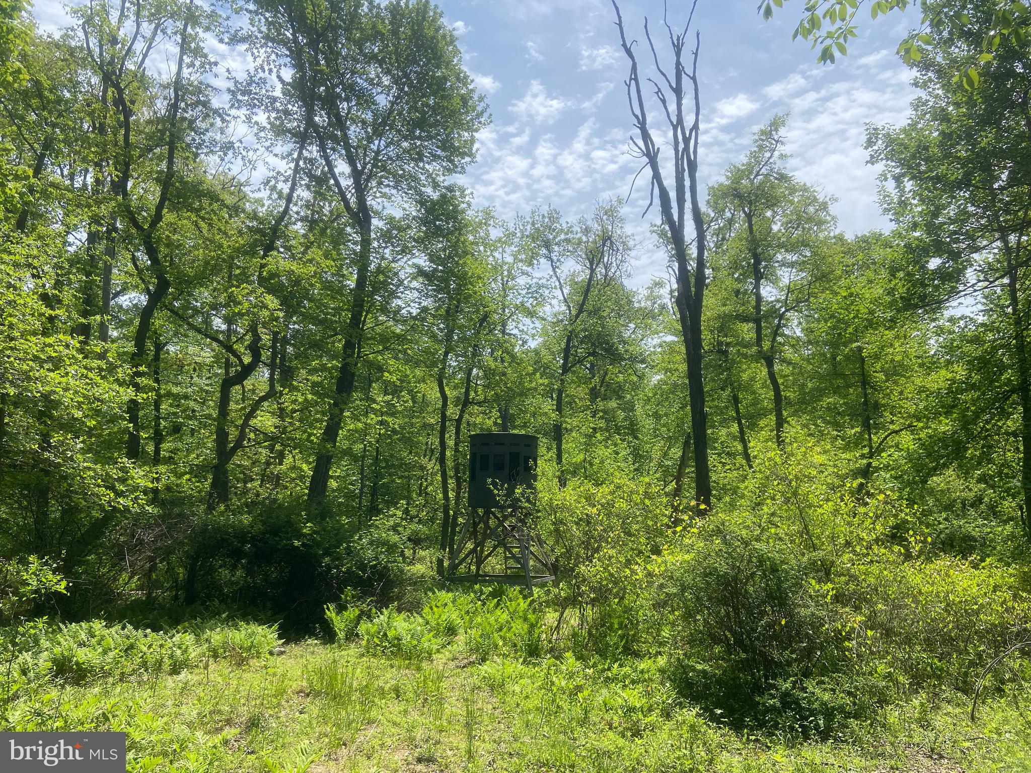 4740 Ford Fields Road Myersville, MD 21773 - Photo 130 of 147 Blind #1