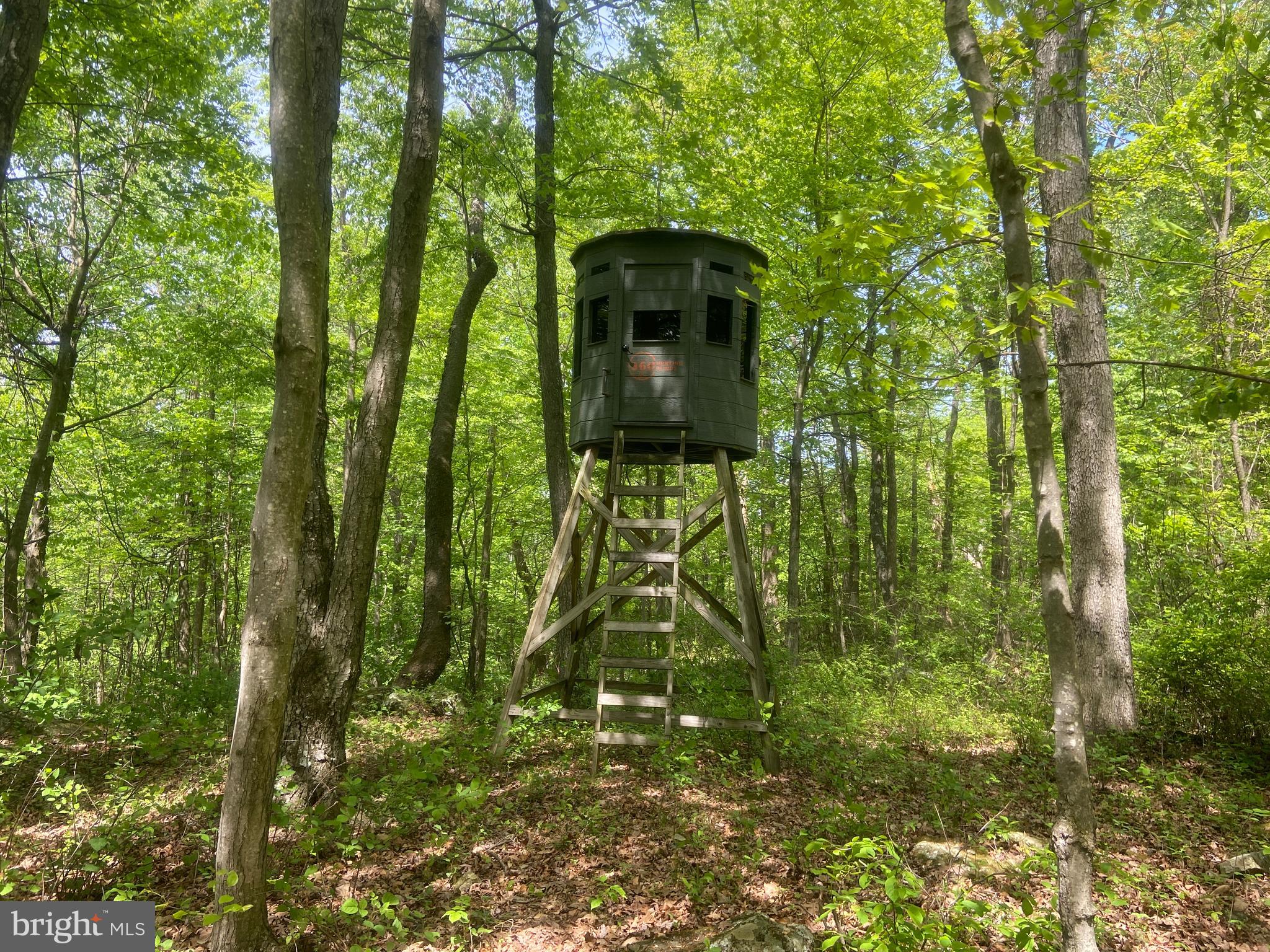 4740 Ford Fields Road Myersville, MD 21773 - Photo 134 of 147 Blind #2