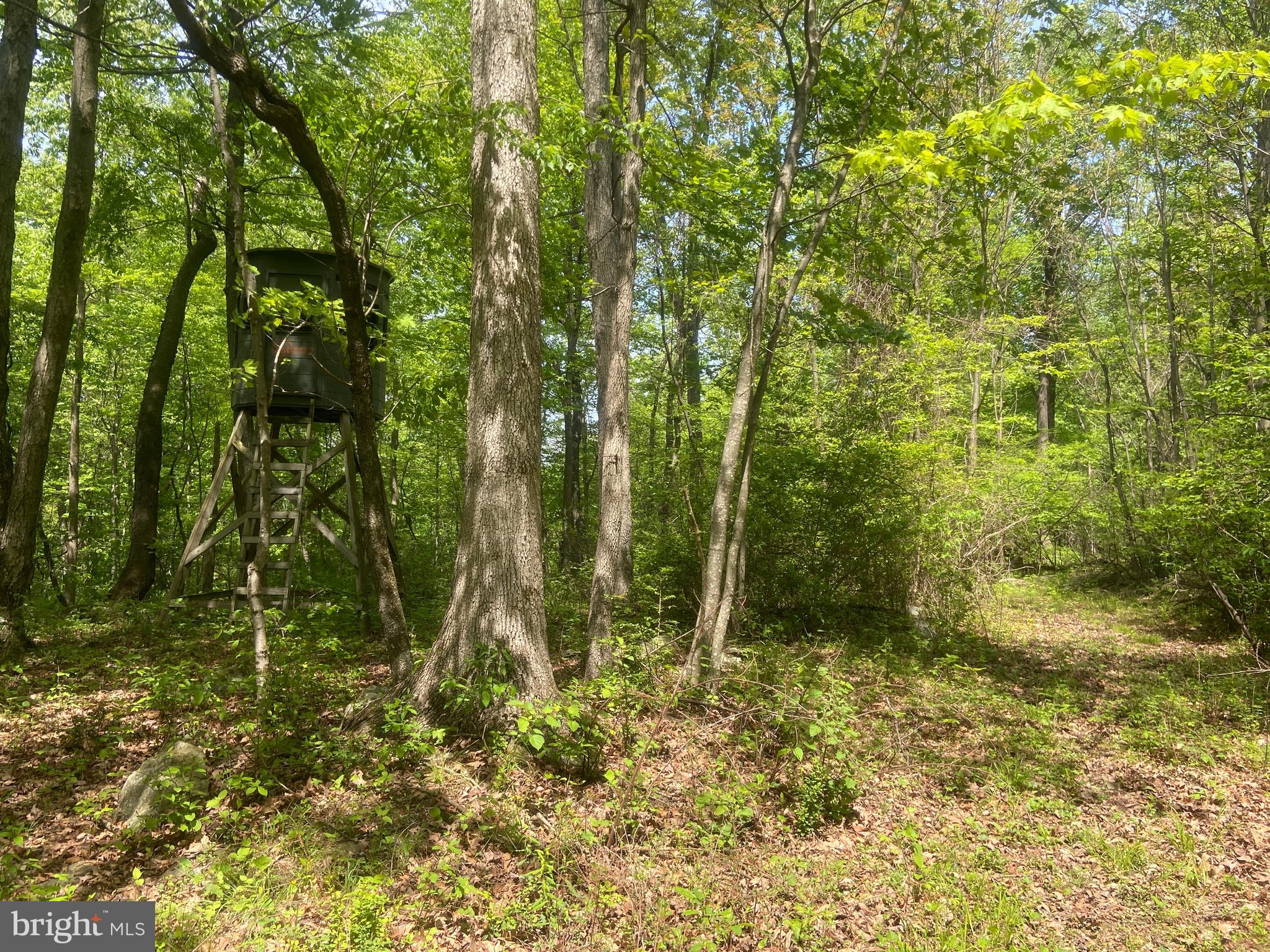 4740 Ford Fields Road Myersville, MD 21773 - Photo 135 of 147 Blind #2