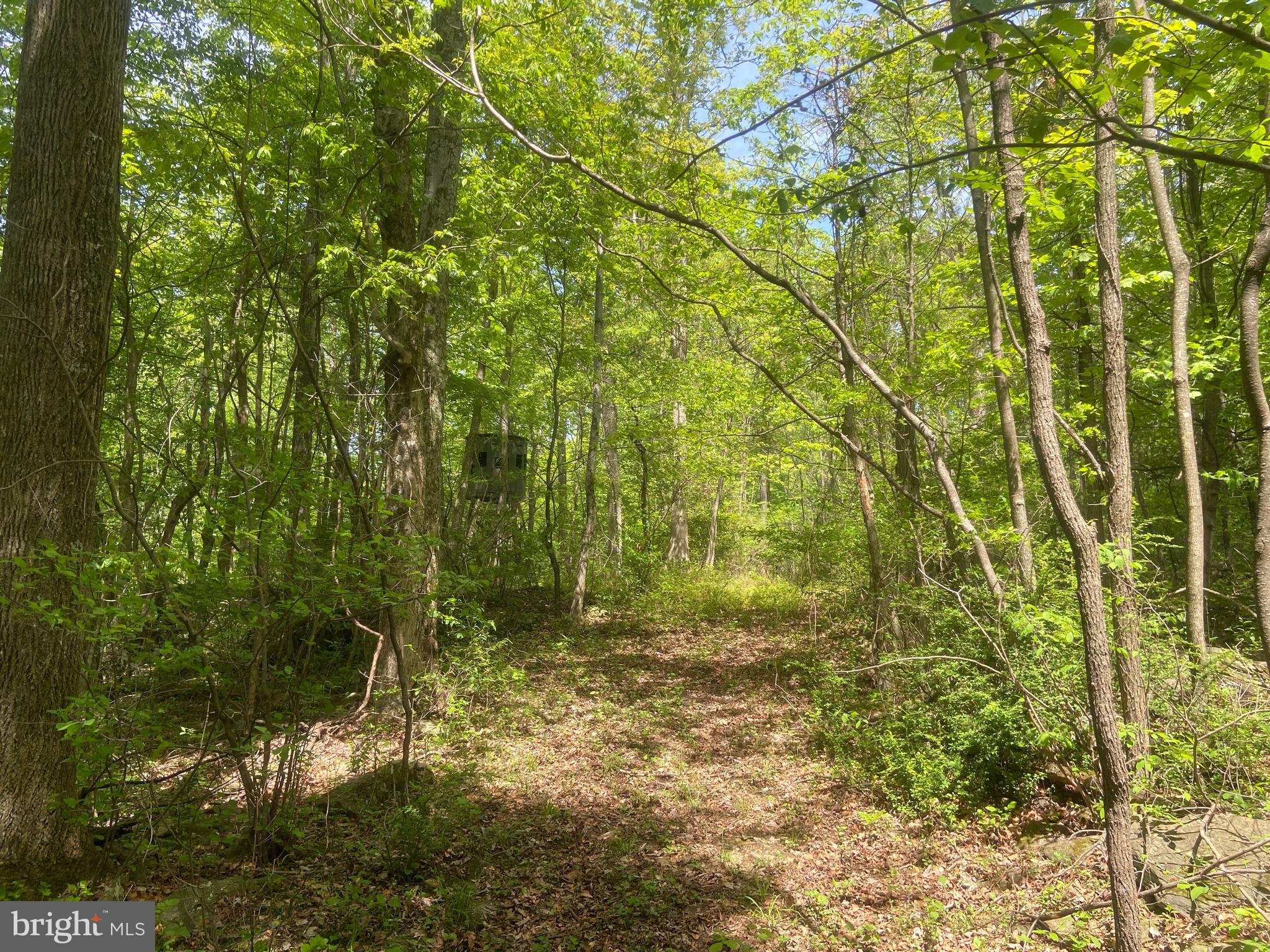 4740 Ford Fields Road Myersville, MD 21773 - Photo 136 of 147 Blind #2