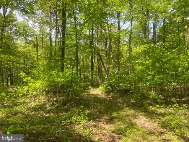 $1,250,000 | 4740 Ford Fields Road, Myersville, MD 21773