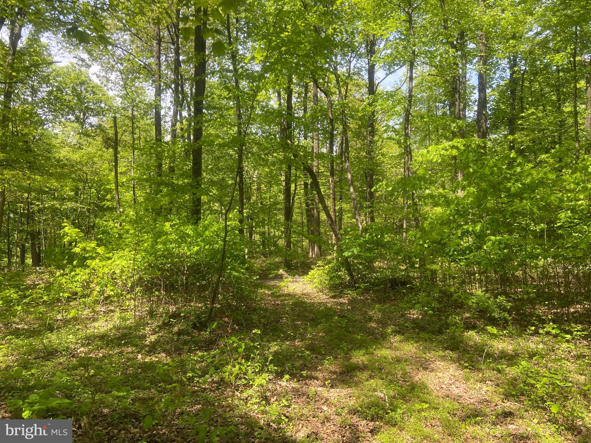 4740 Ford Fields Road Myersville, MD 21773 - Photo 138 of 147