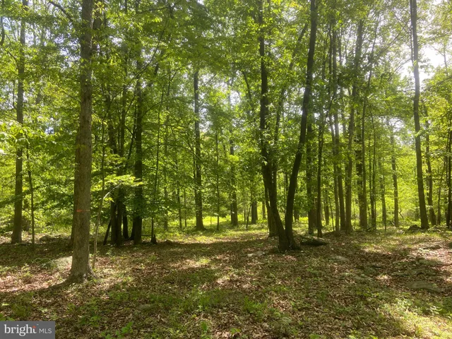 $1,250,000 | 4740 Ford Fields Road, Myersville, MD 21773