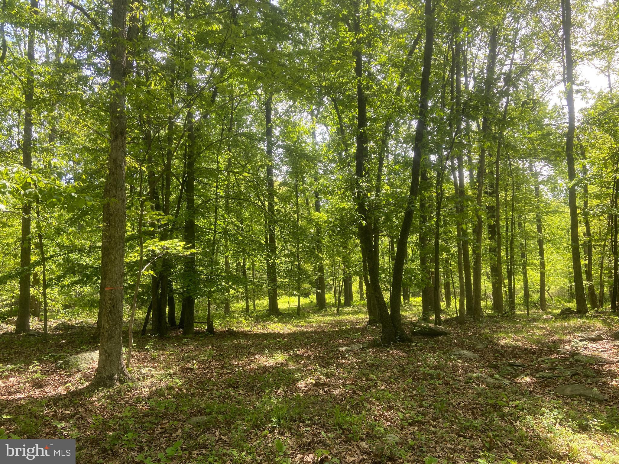 4740 Ford Fields Road Myersville, MD 21773 - Photo 139 of 147