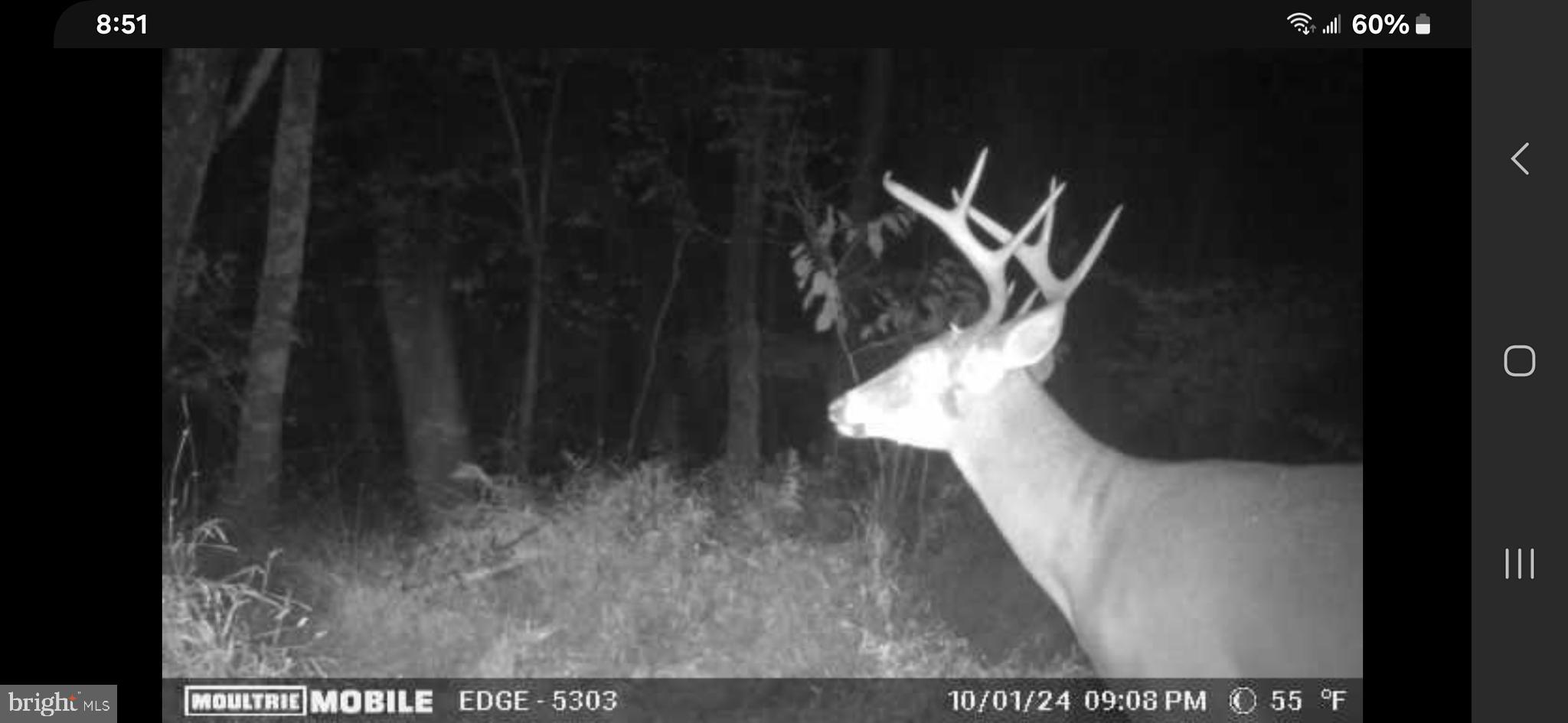 4740 Ford Fields Road Myersville, MD 21773 - Photo 143 of 147 Trail Camera 1