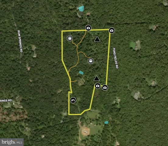 a view of backyard with green space