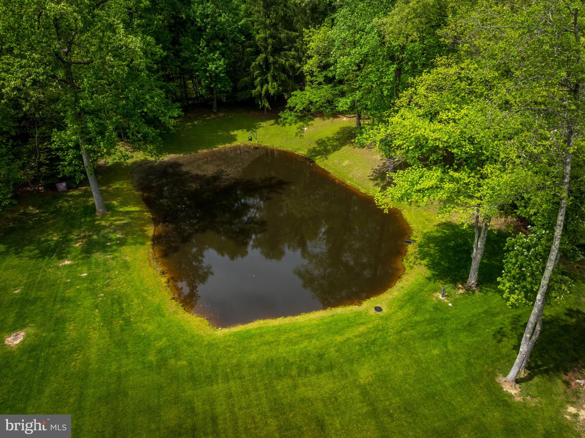 4740 Ford Fields Road Myersville, MD 21773 - Photo 23 of 147 Catfish and Bass can be caught in the pond.